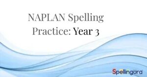 NAPLAN Spelling Practice: Year 3
